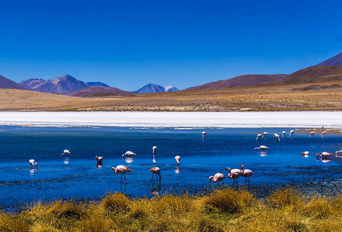 Assurance voyage Bolivie
