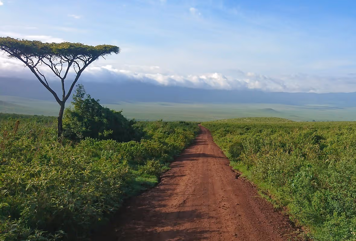 Visa Tanzanie